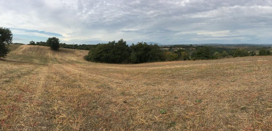 Terreno a Civita Castellana