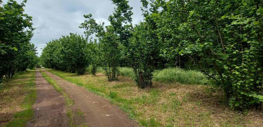 Casa in campagna